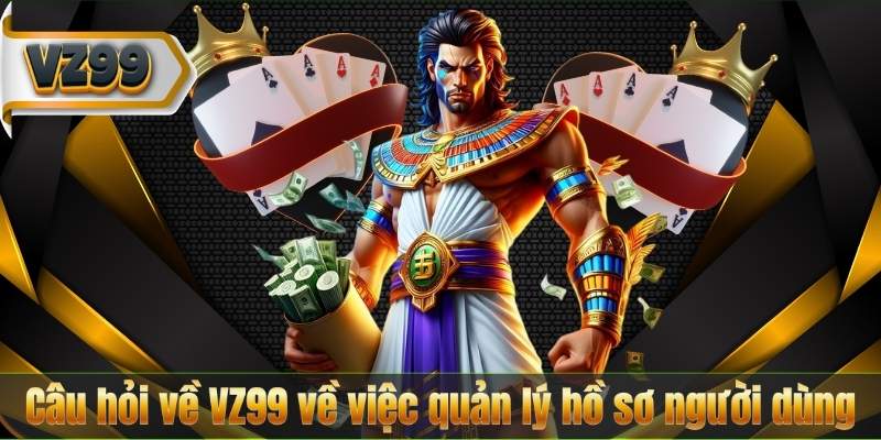Câu hỏi về VZ99 về việc quản lý hồ sơ người dùng