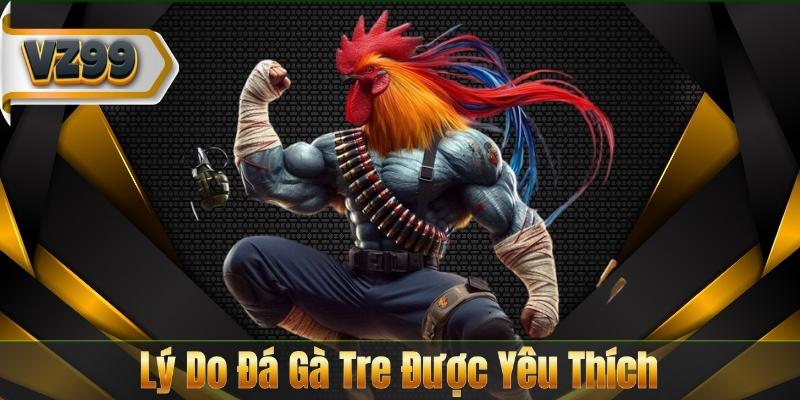 Đá Gà Tre - Hình Thức Chọi Kê Truyền Thống Hấp Dẫn 7 Lý Do Đá Gà Tre Được Yêu Thích