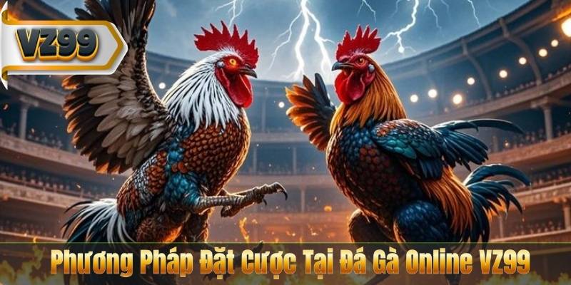 Phương Pháp Đặt Cược Tại Đá Gà Online VZ99