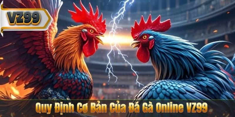 Quy Định Cơ Bản Của Đá Gà Online VZ99