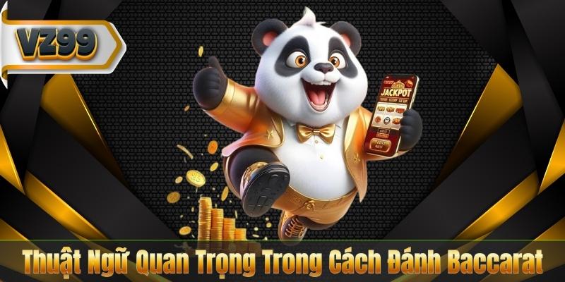 Thuật Ngữ Quan Trọng Trong Cách Đánh Baccarat